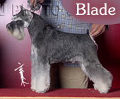 Blade